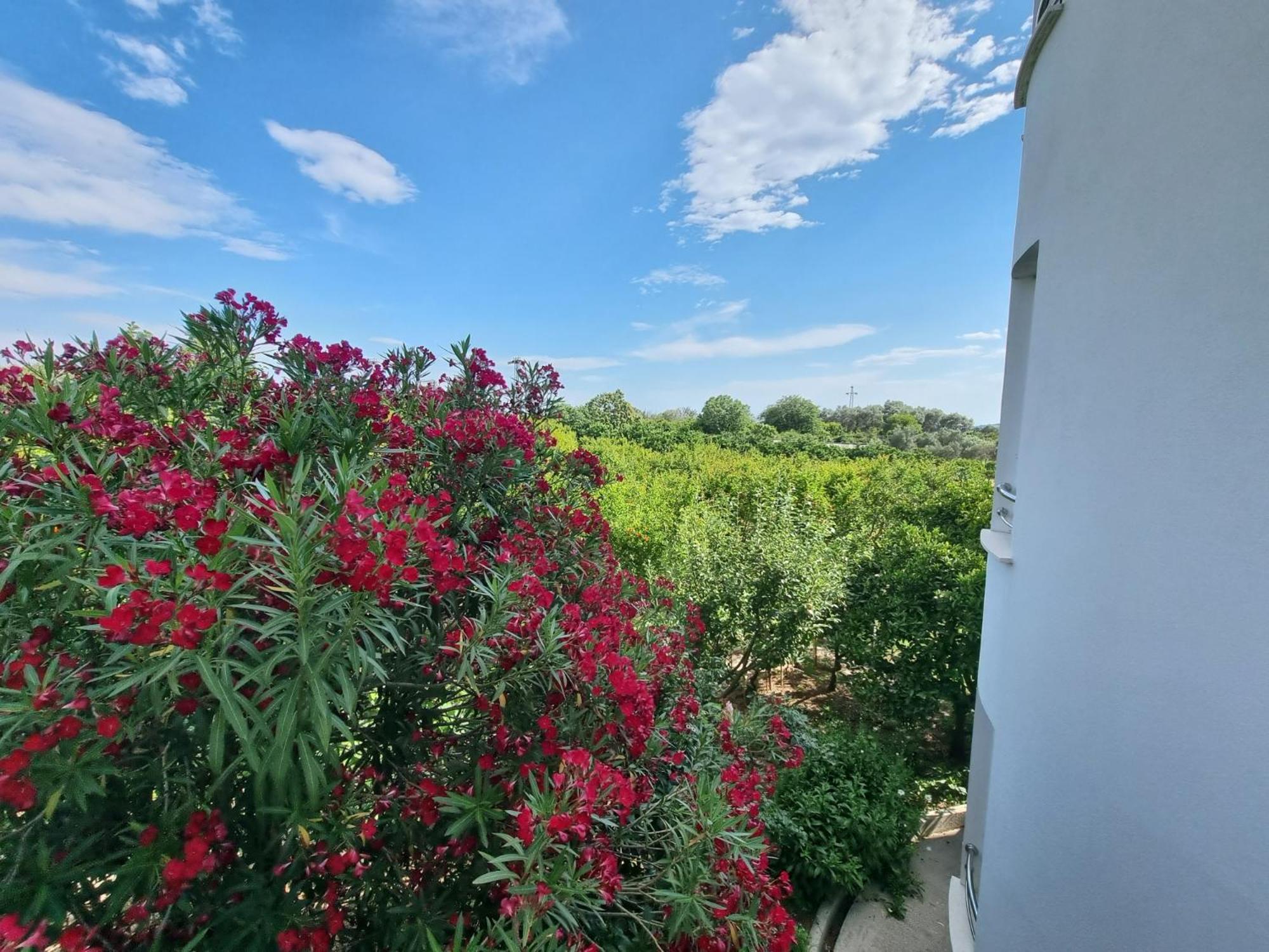 Le Domaine Green Paradise Ulcinj Exteriér fotografie